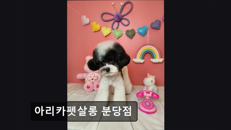 사진 2