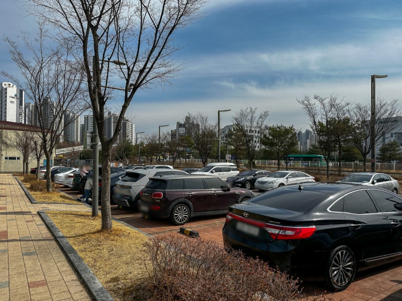 사진 5