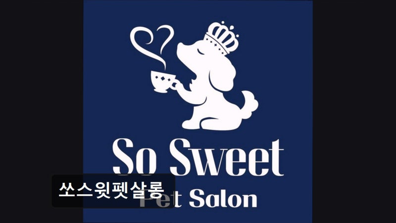사진 1