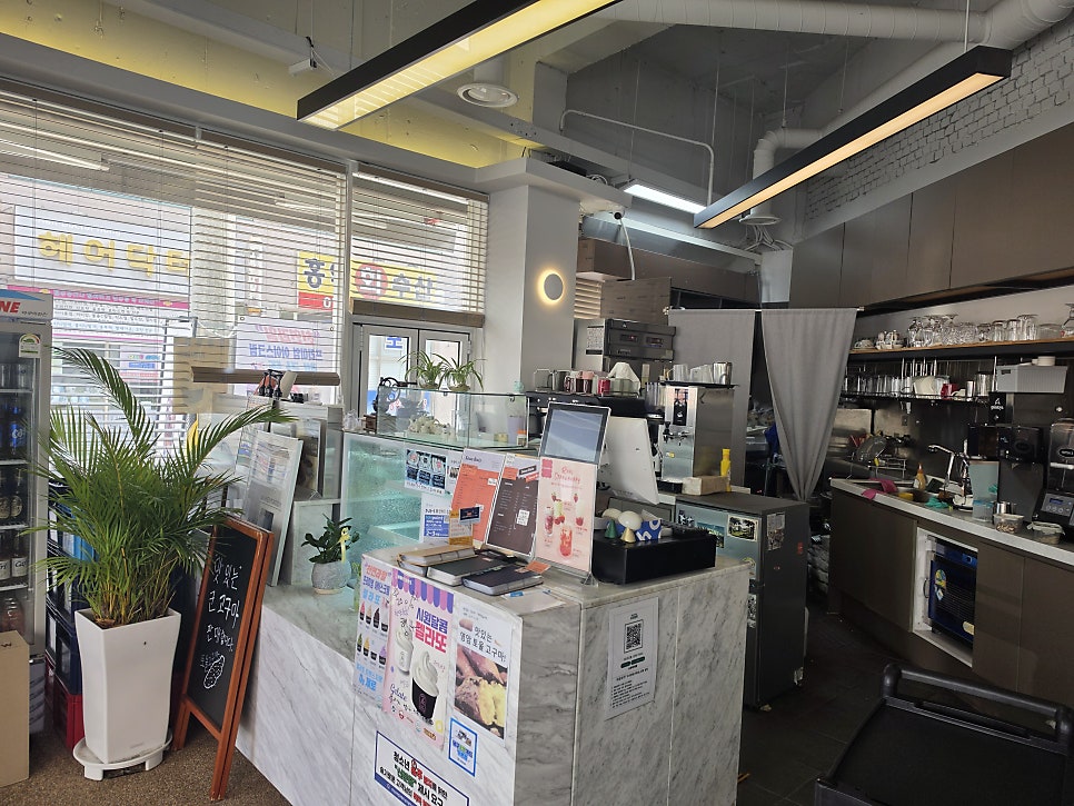 수부아 사진 4