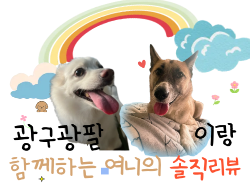 사진 7