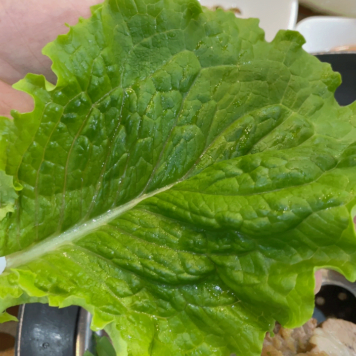  금남면맛집 청와삼대 세종시청점 | 착한가격으로 제대로 즐기는 점심특선  보쌈정식과 마늘떡갈비 한상