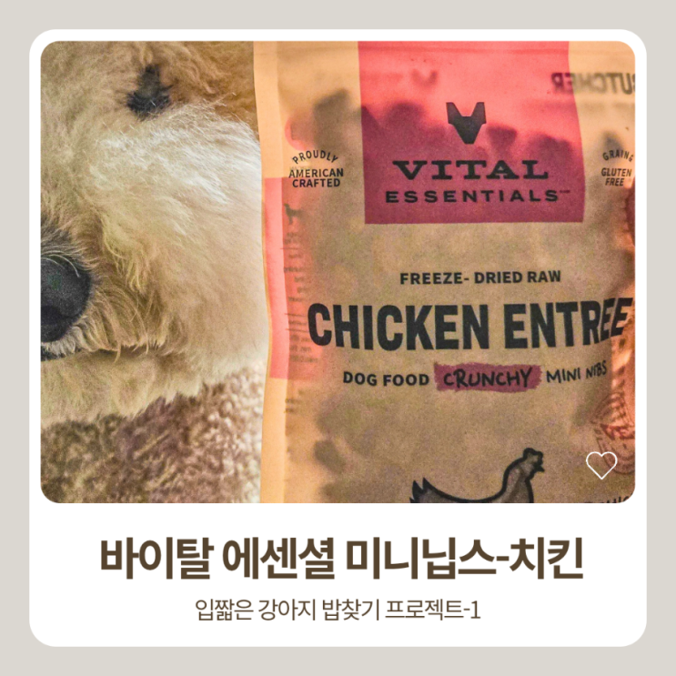  바이탈에센셜 도그 미니닙스 동결건조 사료-치킨 후기