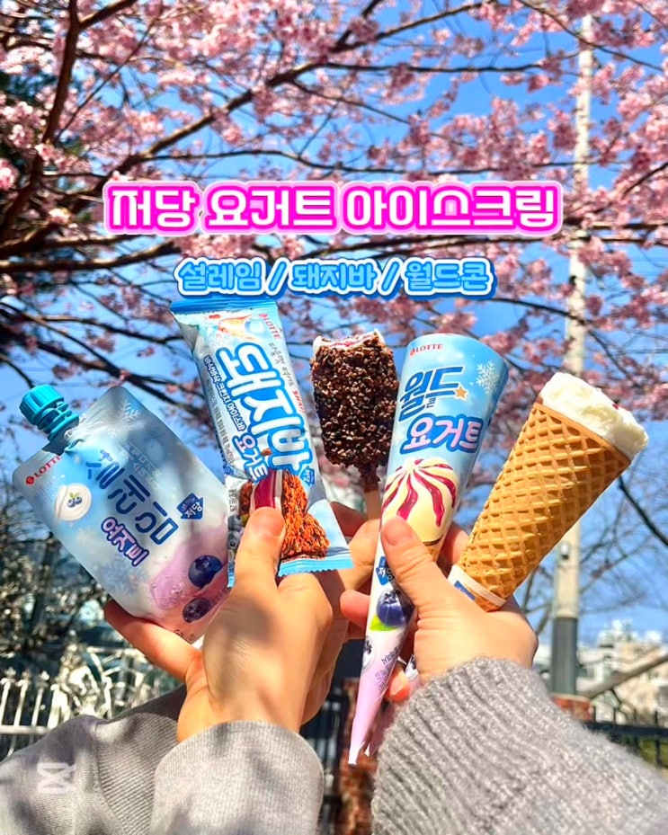  편의점 저당 아이스크림 신상 설레임 월드콘 돼지바 요거트 블루베리 맛 칼로리 후기