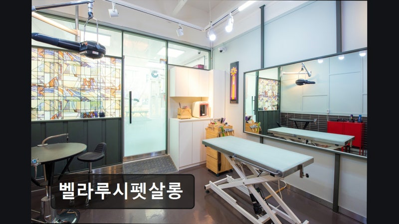사진 5