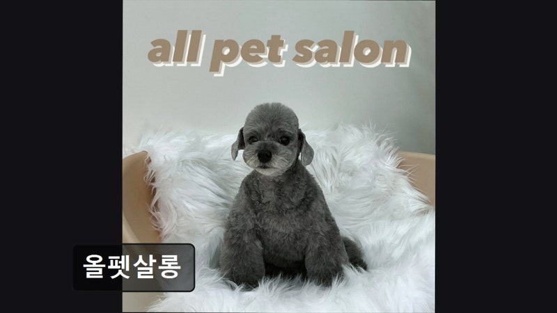 사진 2