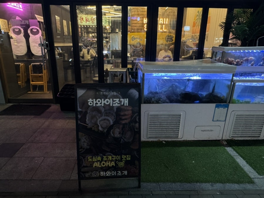 하와이조개 다사점 사진 5