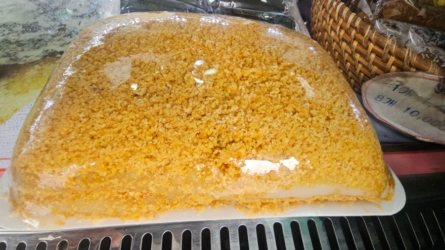 시루랑 사진 5