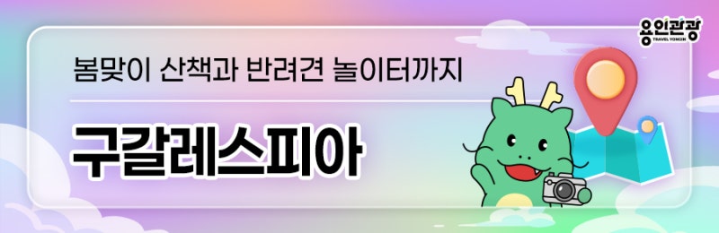 사진 3