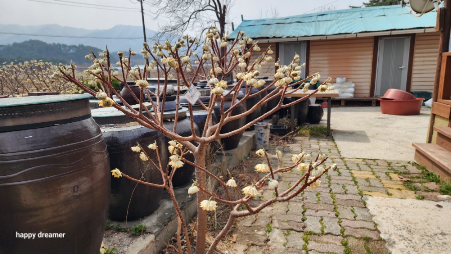 진재골추어탕 사진 5