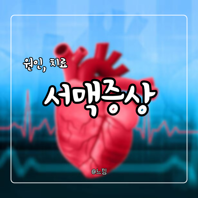 서맥 증상 원인 동성서맥 검사