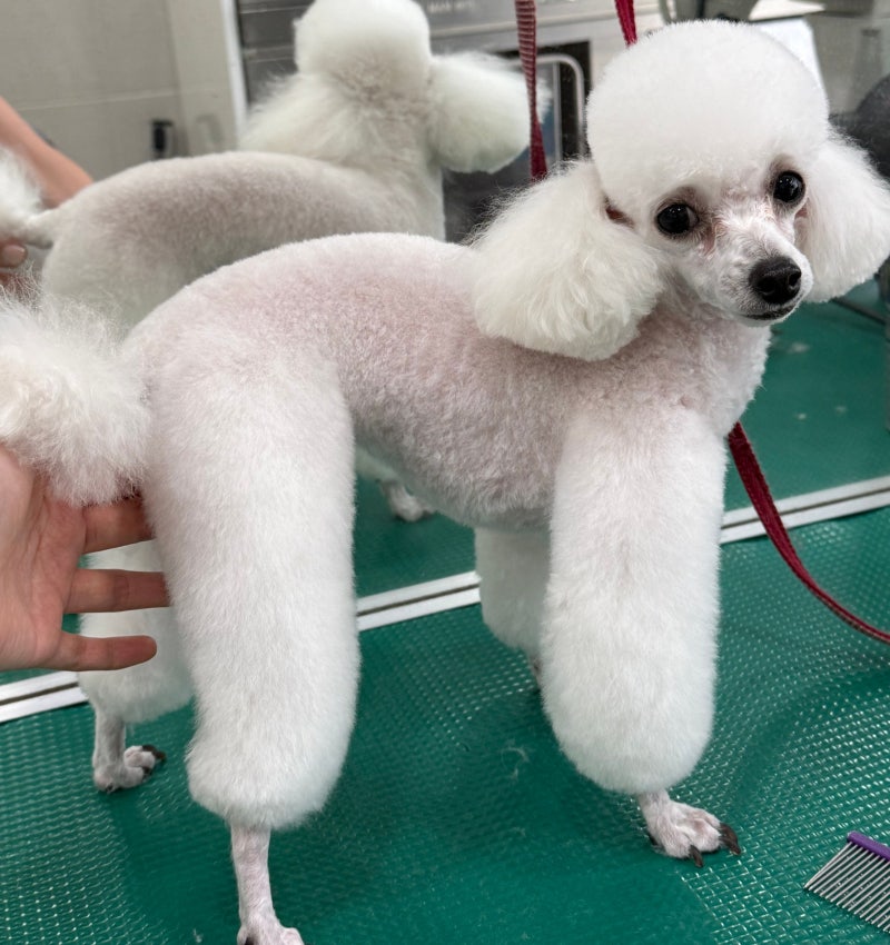 사진 3