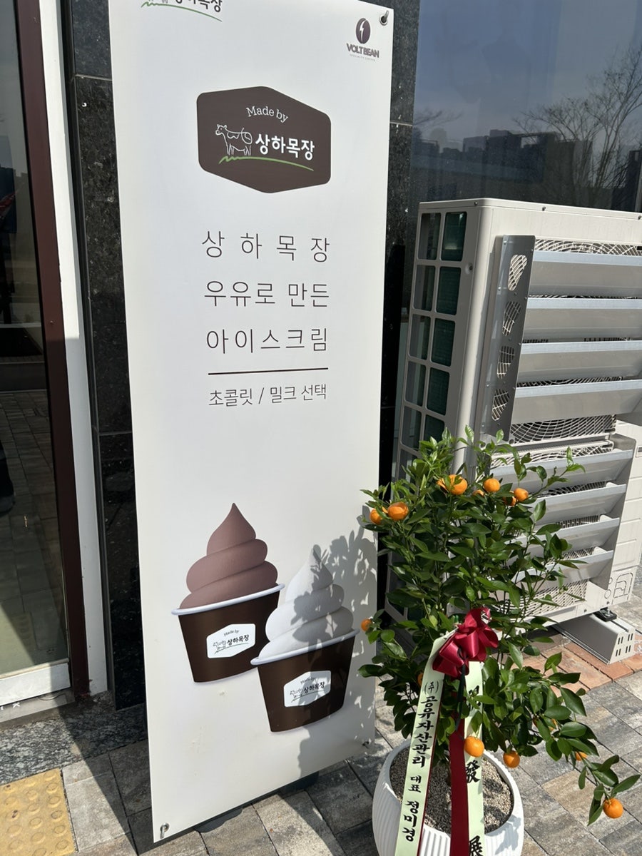 볼트빈 충남도청점 사진 4