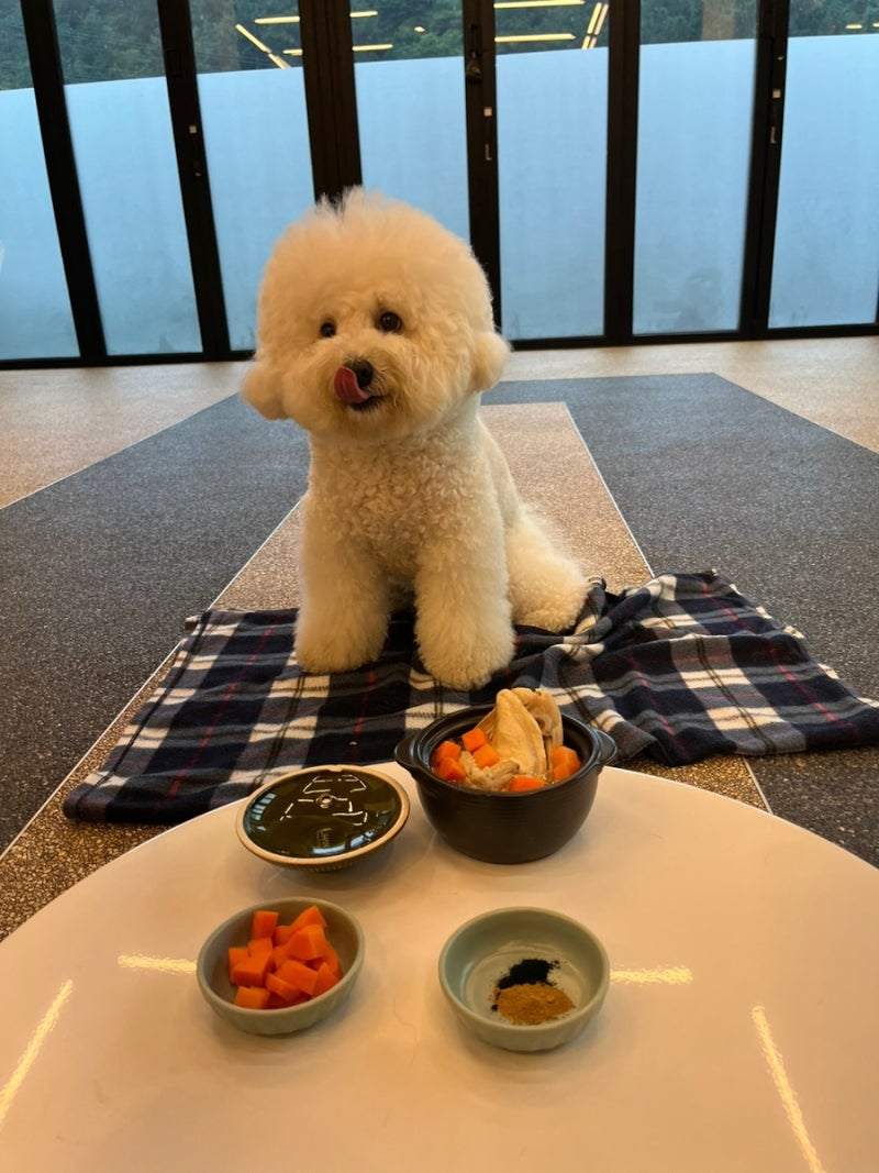 사진 5