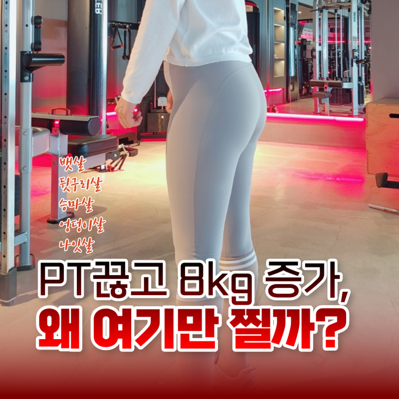8kg 증가! 나잇살 뱃살 승마살까지 다 붙은 이유 (+ 살 빠지는 습관 정리)