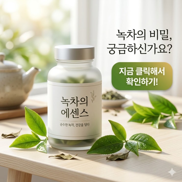  녹차카테킨 효능 제대로 알고 체지방과 항산화 건강까지 한 번에 챙기는 방법