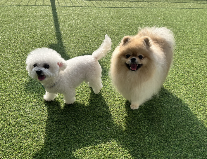 사진 2
