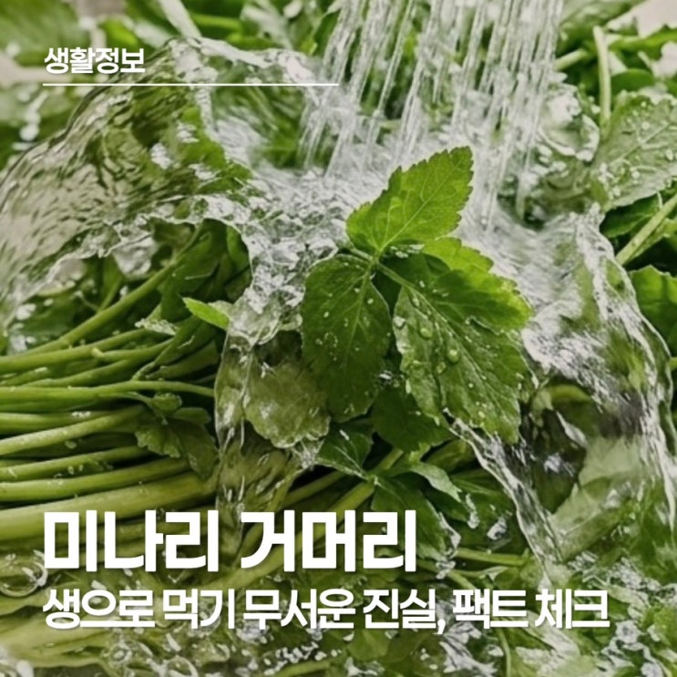  미나리 거머리가 대롱 속에 산다? 봄 제철 미나리 놋수저 하나로 기생충 걱정 없이 섭취하기