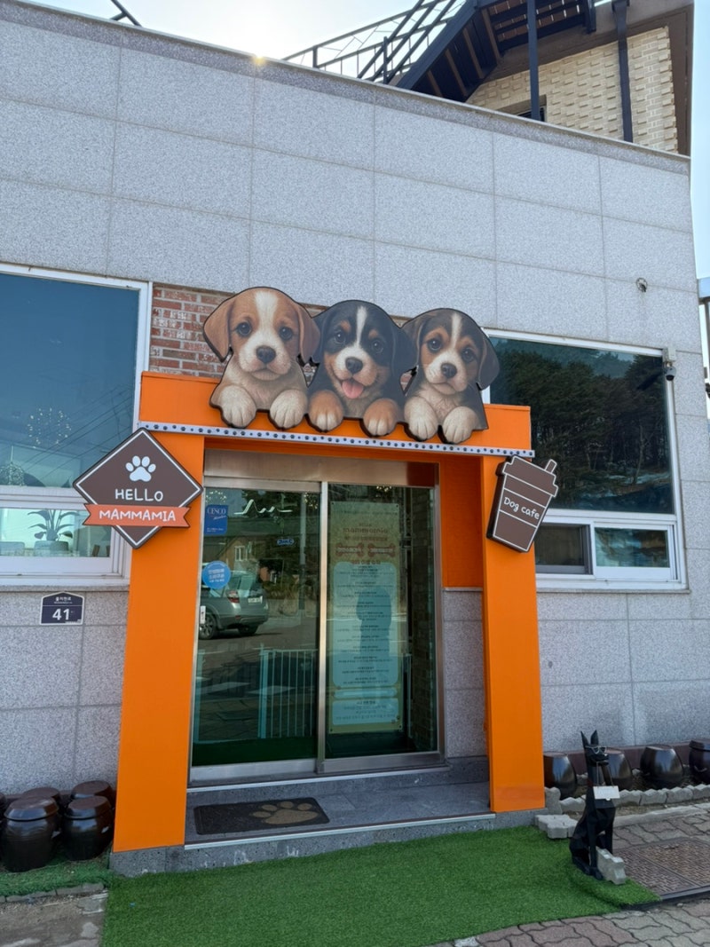 사진 3
