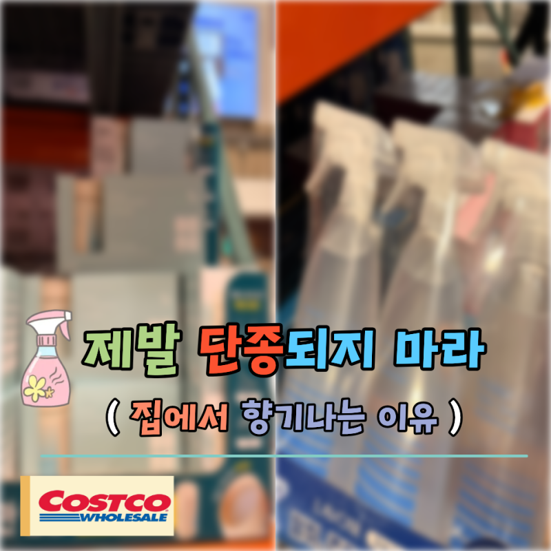 "건조기 돌린 줄 알았어요!" 세탁 없이 뽀송해지는 코스트코 섬유탈취제