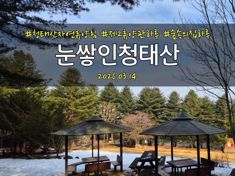 3월의 청태산 자연휴양림, 눈 속에서 보낸 이틀