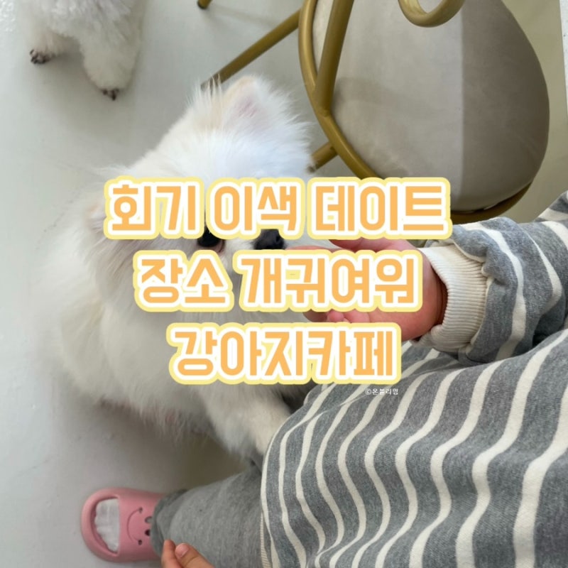 사진 4