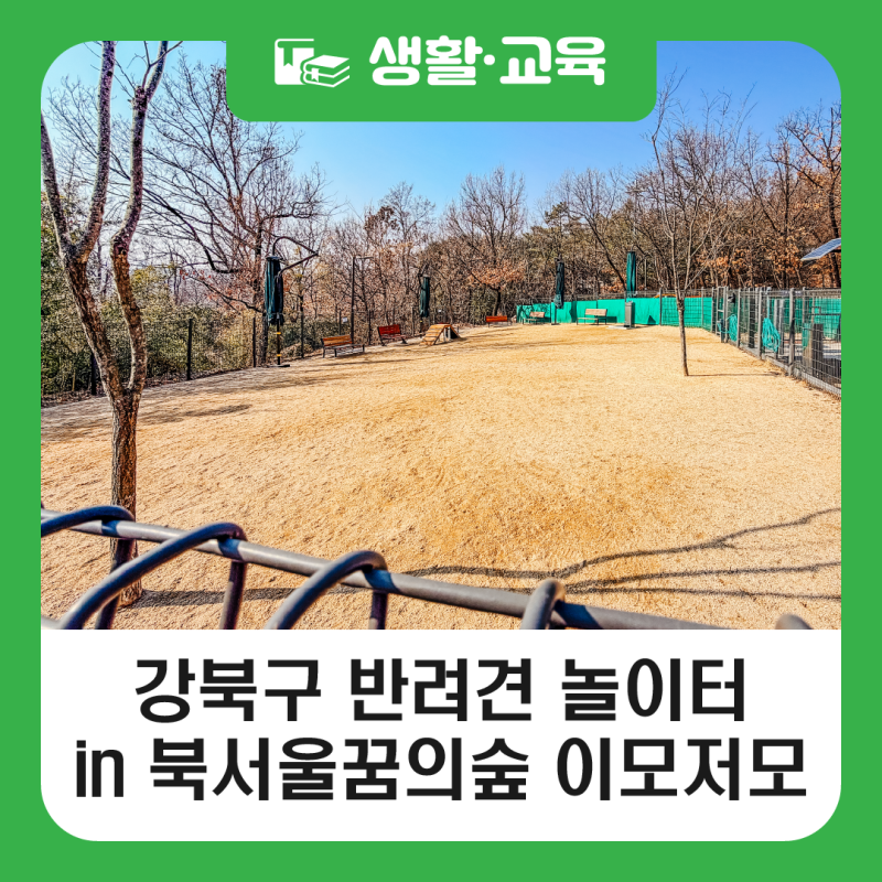 사진 2
