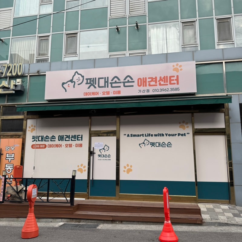 사진 2
