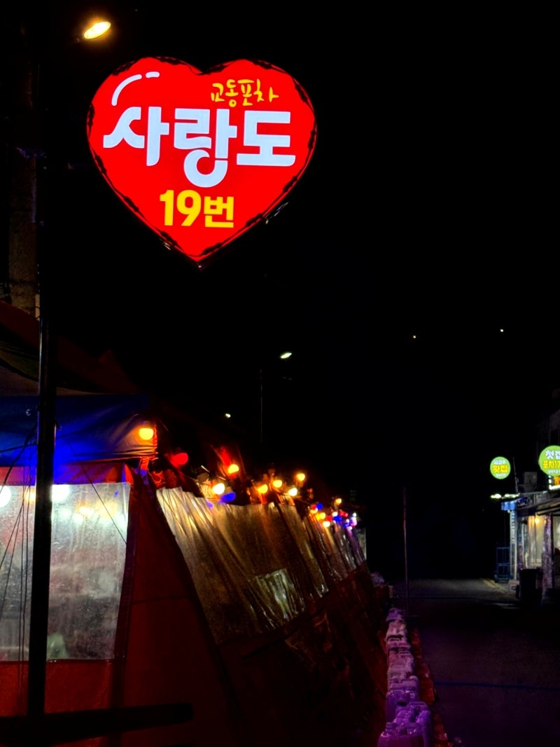 사진 5