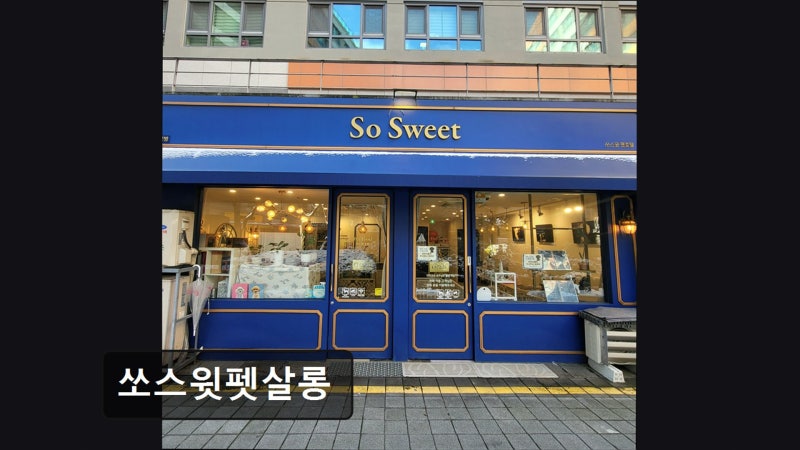 사진 2