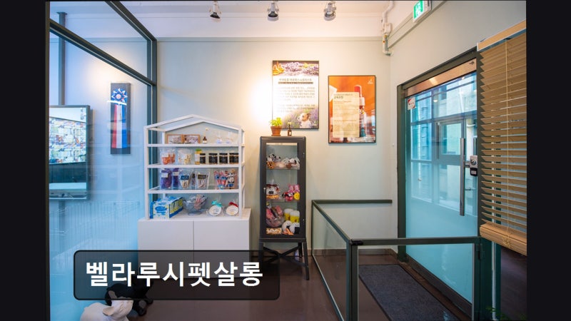 사진 6