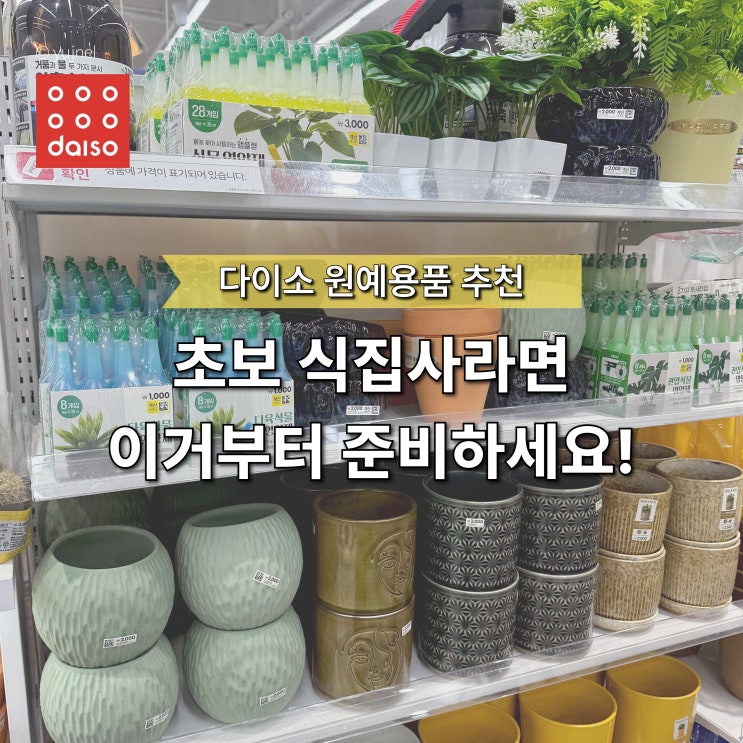  "괜히 비싼 돈 쓰지 마세요" 초보 식집사 가성비 다이소 원예용품 입문템 TOP5