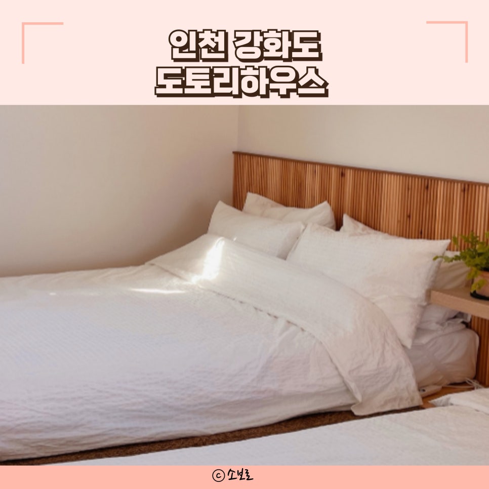 도토리하우스 사진 1
