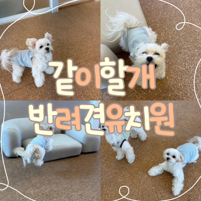 사진 7