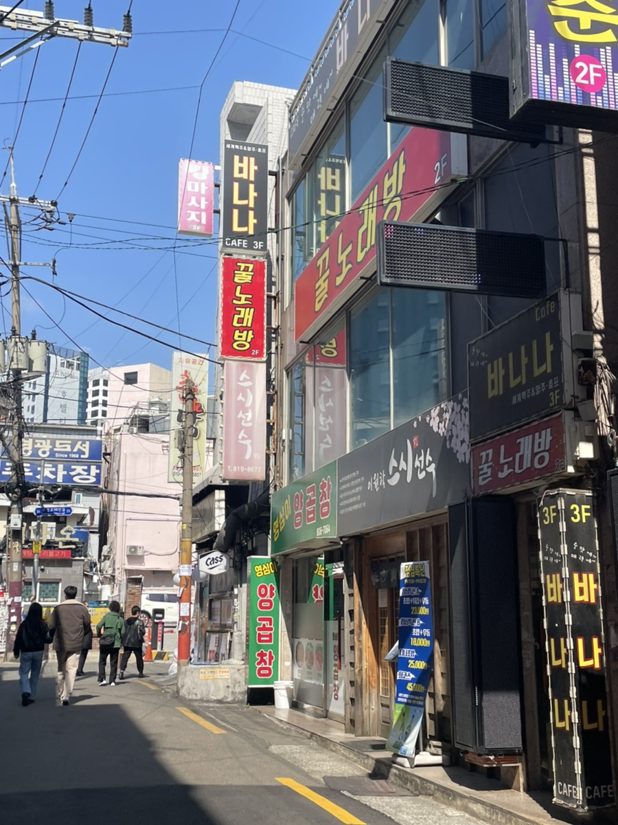 스시선수 사진 2
