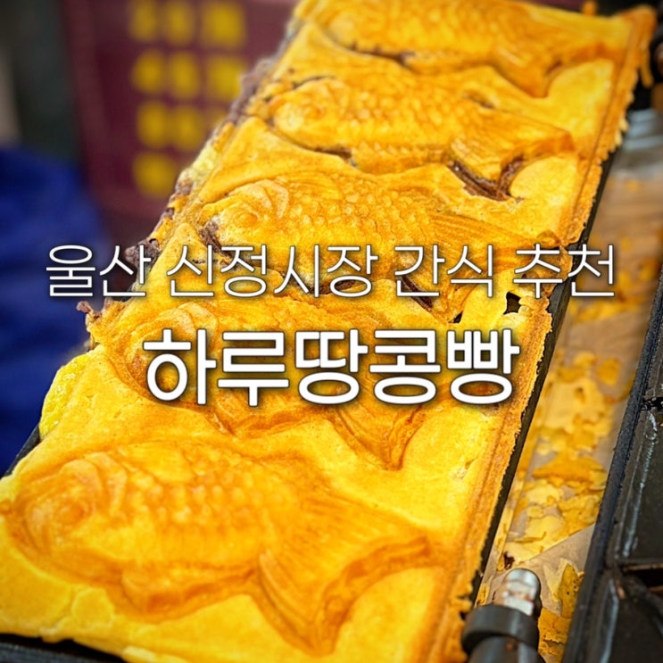  울산 신정시장 맛집 하루땅콩빵 신정동 붕어빵 파는 곳 장날 주차 먹거리 간식 추천