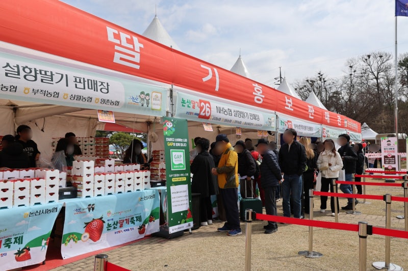논산 딸기축제 2026 일정표 헬기 체험 초대 가수 라인업 주차장 체크
