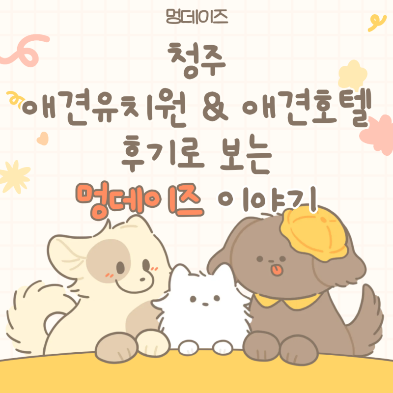 사진 4