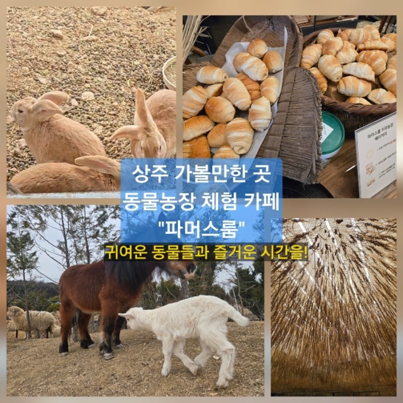 사진 2