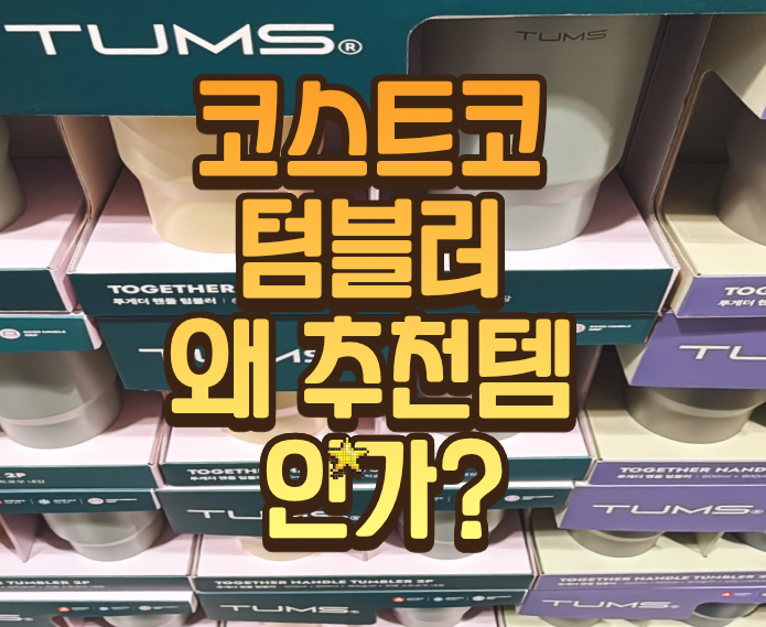 코스트코 텀블러 텀스 네오플램 미니 왜 추천템 인가
