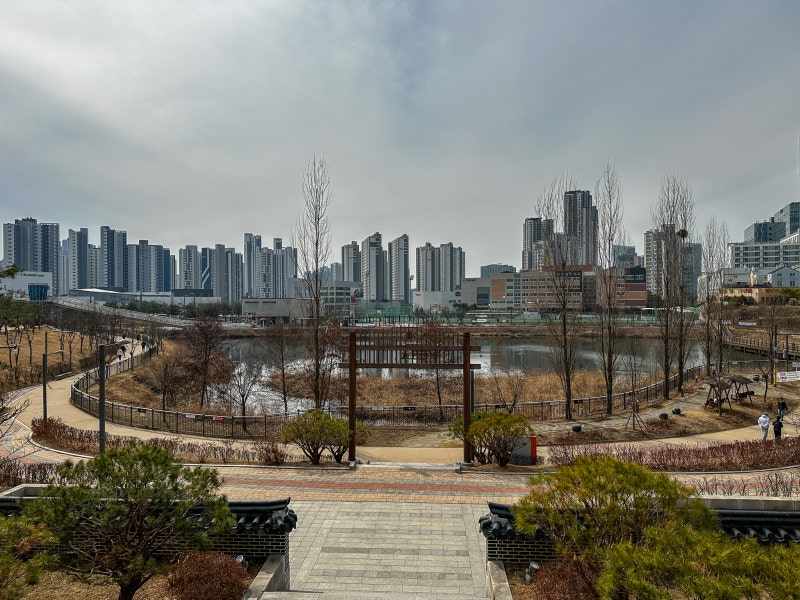 사진 4