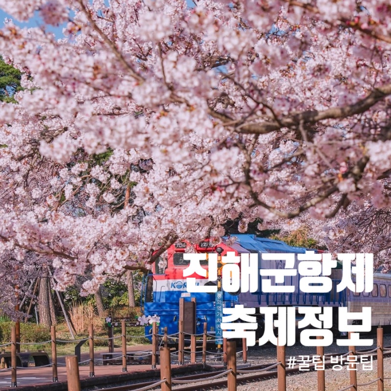 진해 군항제 벚꽃축제 완벽 가이드 여좌천 벚꽃길 개화시기 주차 행사 총정리