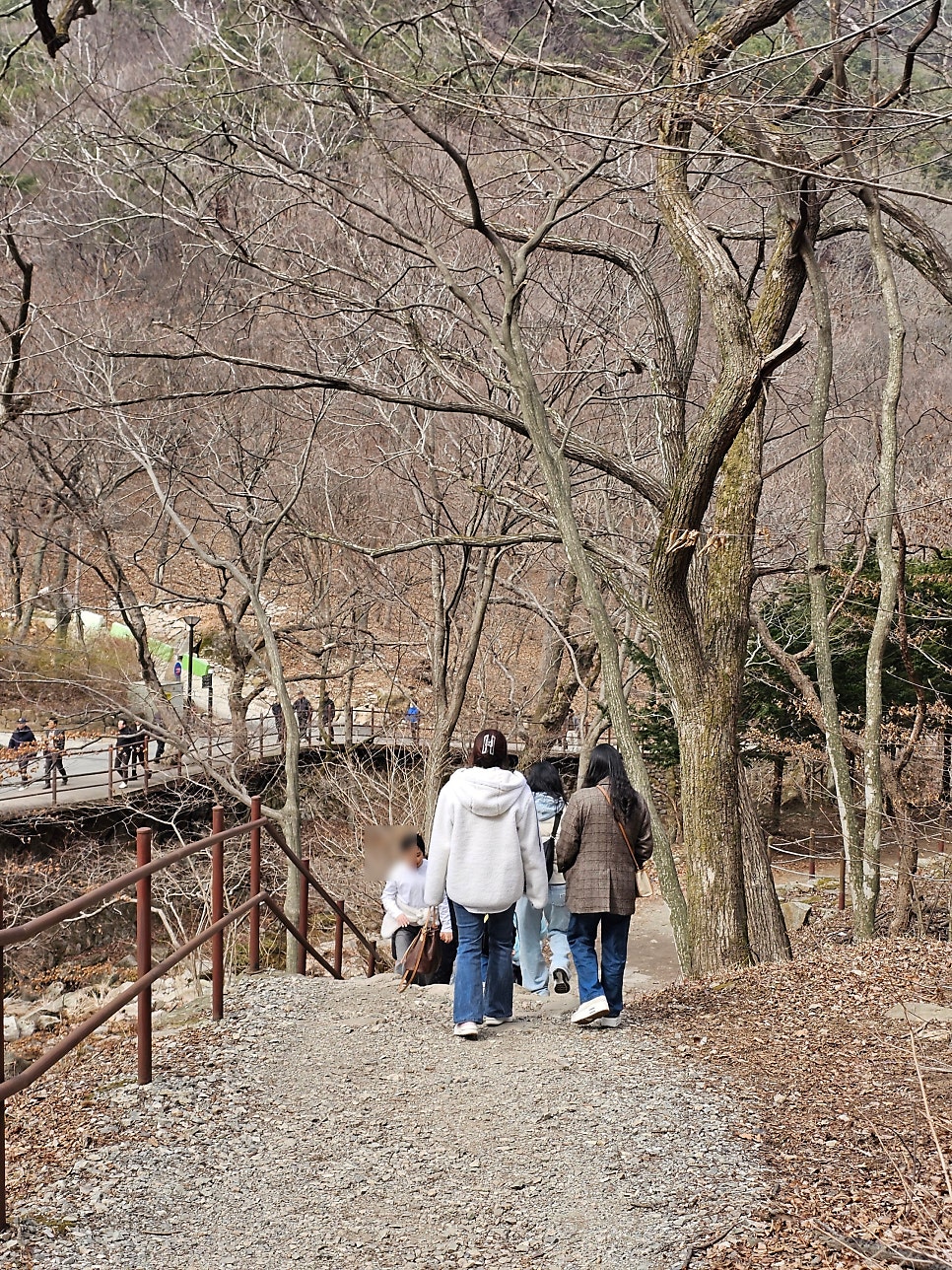 더쉼펜션 사진 3