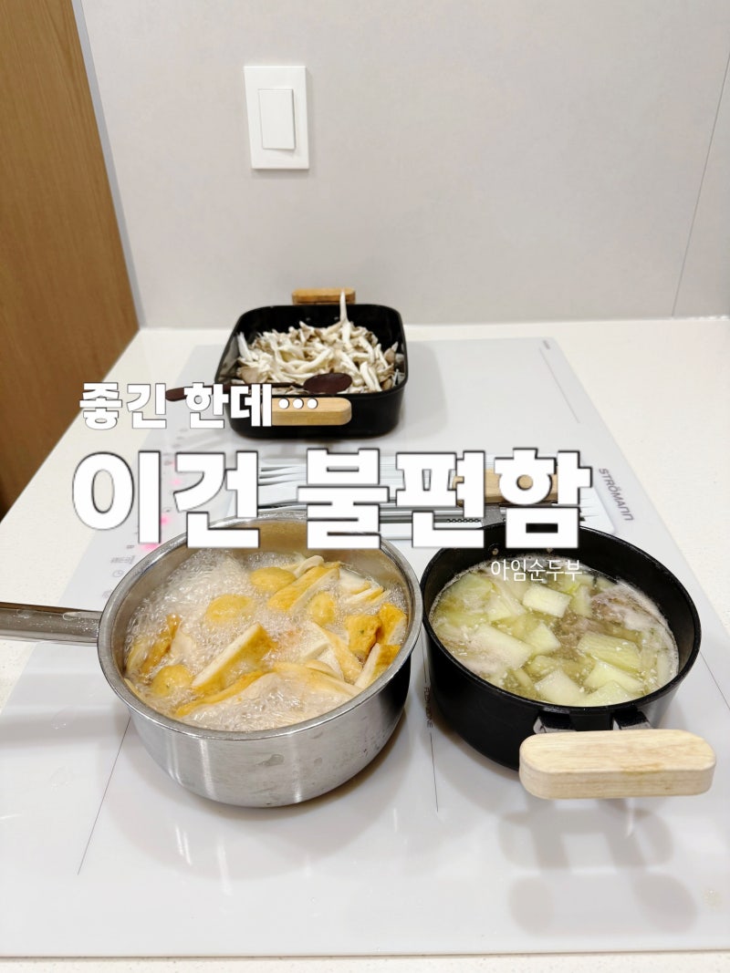 후드 일체형 인덕션 단점 | 스트로만 인덕션 한 달 실사용 후기 (약불 조절, 필터 비용, 전기....