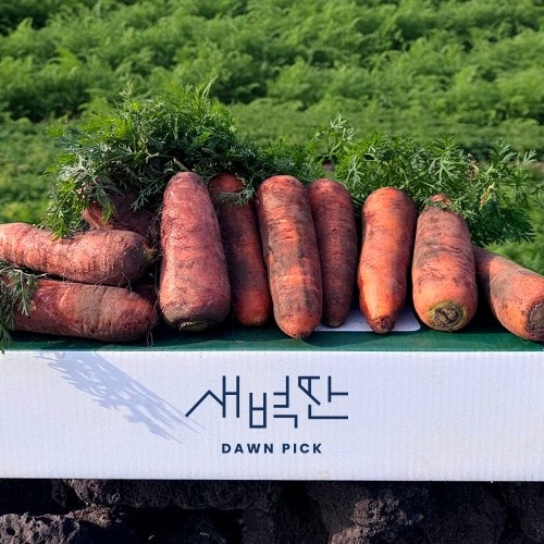  직접 사본 신선 식재료 3종 제주 흙당근 생들기름 우삼겹 후기