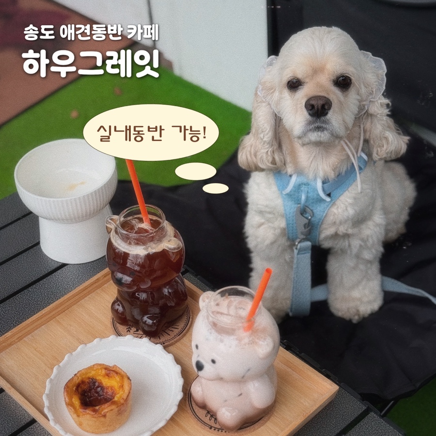 하우그레잇 디저트카페 사진 1