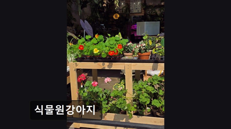 사진 2