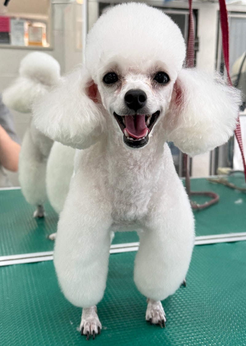 사진 2