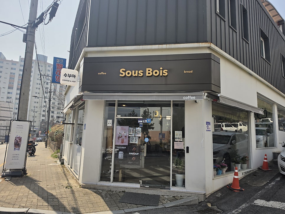 수부아 사진 1