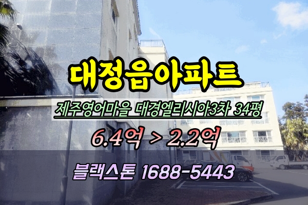  서귀포 대정읍 대경엘리시아 3차 경매 2025타경967